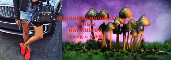 прущая мука Остров